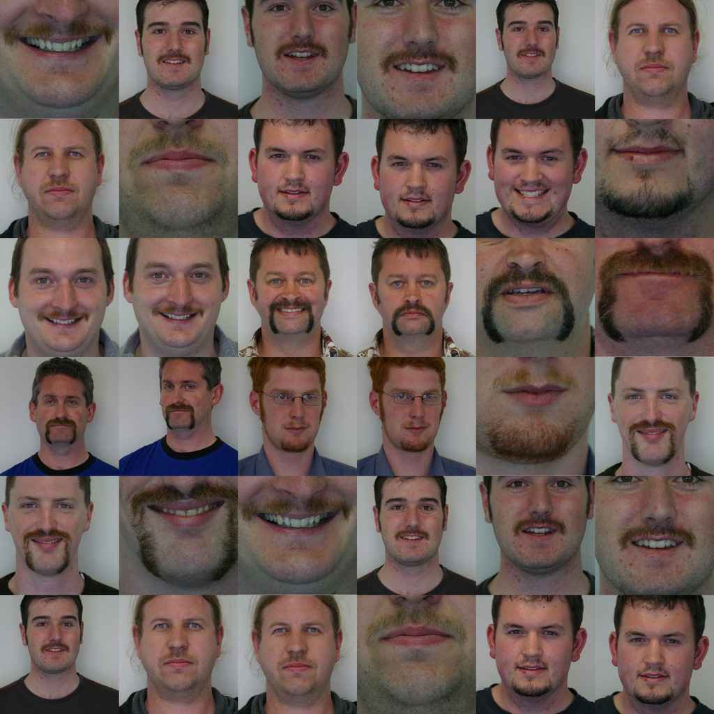 movember.jpg